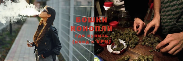 индика Абаза