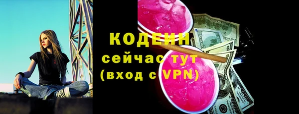 индика Абаза