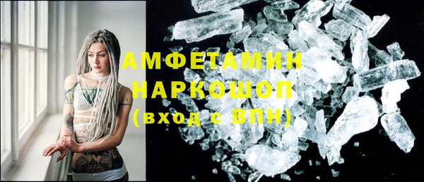 индика Абаза