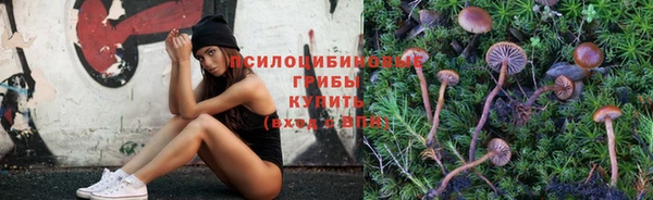 индика Абаза