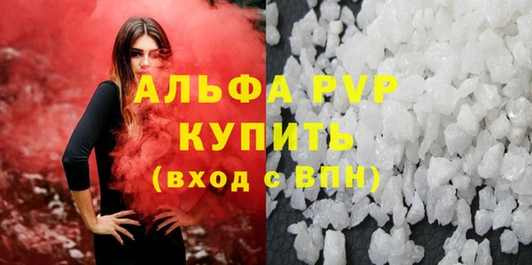 индика Абаза