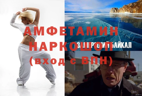 индика Абаза