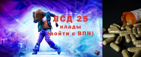 индика Абаза