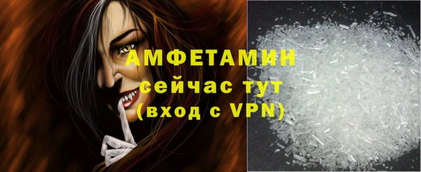 индика Абаза