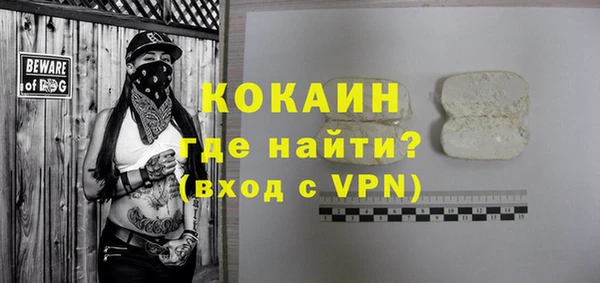индика Абаза