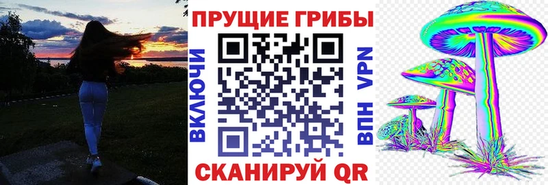 Псилоцибиновые грибы мицелий  нарко площадка телеграм  Зарайск 
